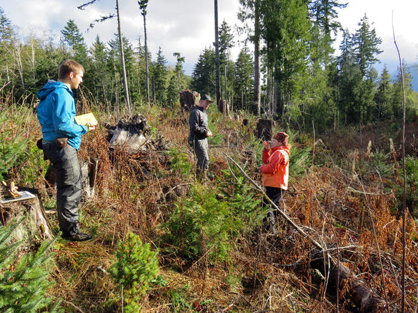 From left, Prof. Colin Amos, masters student Cody Duckworth and Prof. Liz Schermer, all of Western Washington University, investigate the Sadie Creek earthquake fault north of Lake Crescent.