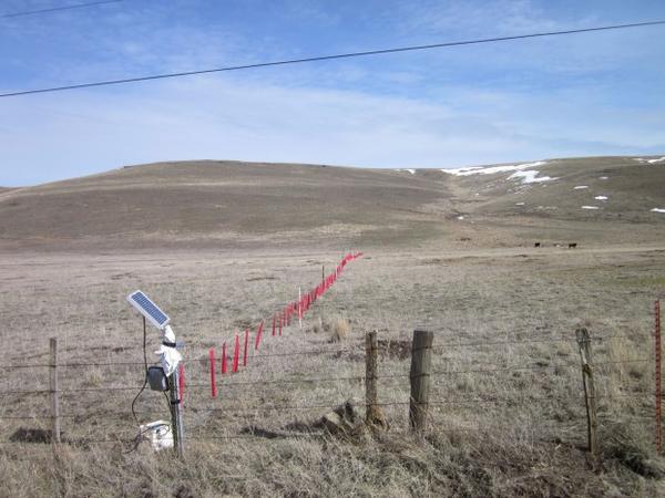 <p>The use of non-lethal techniques like hanging fladry, shown here in red, can deter wolves from cattle or sheep pastures. But ranchers say they are costly, time-consuming and marginally effective. Wolf advocates say they are too seldom used or used improperly, like the incomplete line in this photo from Eastern Oregon.</p>