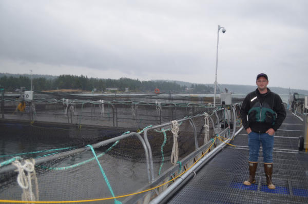 <p>Tom Glaspie is the site manager of Cooke Aquaculture's Hope Island Fish Farm.</p>