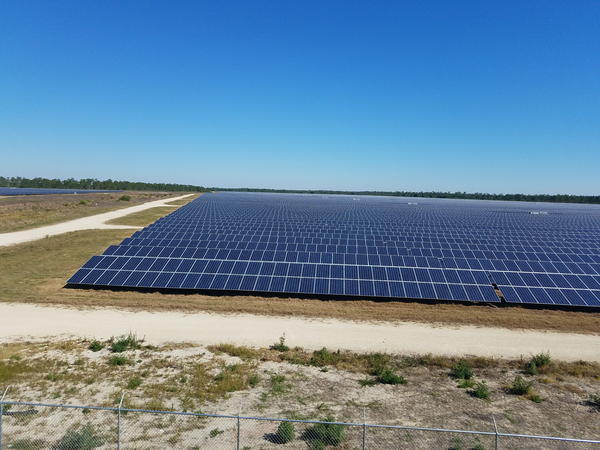 A glimpse of FPL's 440 acre solar field in Punta Gorda.