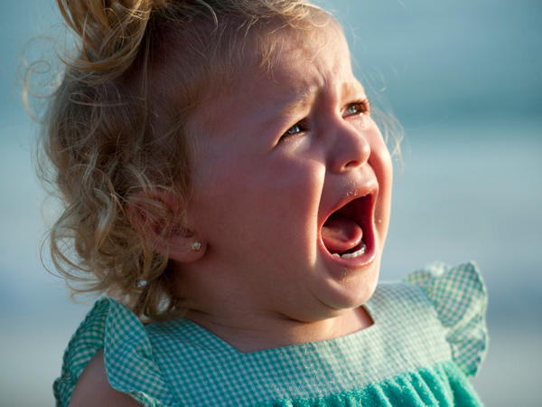 What's Behind A Temper Tantrum? Scientists Deconstruct The Screams | WFSU