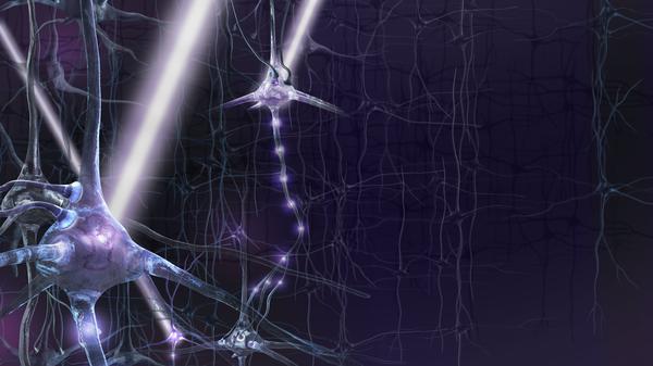 If Genes Dont Turn Off Brains Wiring >> Experimental Tool Uses Light To Tweak The Living Brain Wuwm If Genes Dont Turn Off Brains Wiring >> Experimental Tool Uses Light To Tweak The Living Brain Wuwm