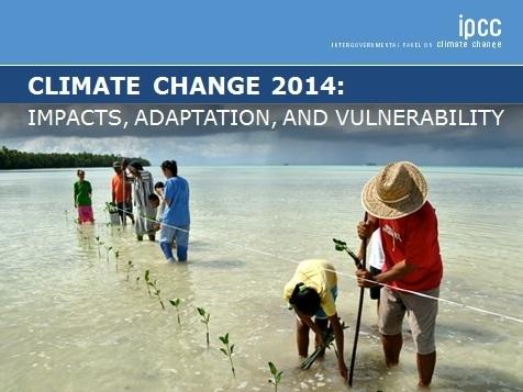 The U.N. Intergovernmental Panel on Climate Change's report.