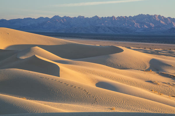 The Mojave Trails National Monument is the largest new monument, at 1.6 million acres.