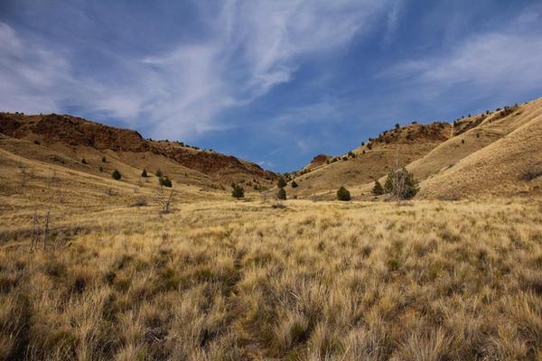 <p>The Spring Basin Wilderness in central Oregon.</p>