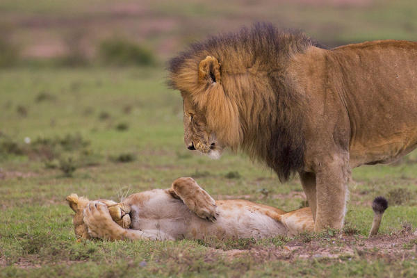 cant bear more news?