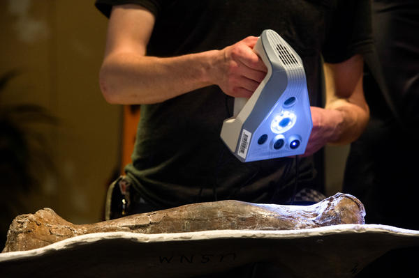 The Smithsonian's Jon Blundell scans the fossilized foot bone — the metatarsal — of the Wankel T. rex to help create a digital 3-D image of the long-dead dinosaur.