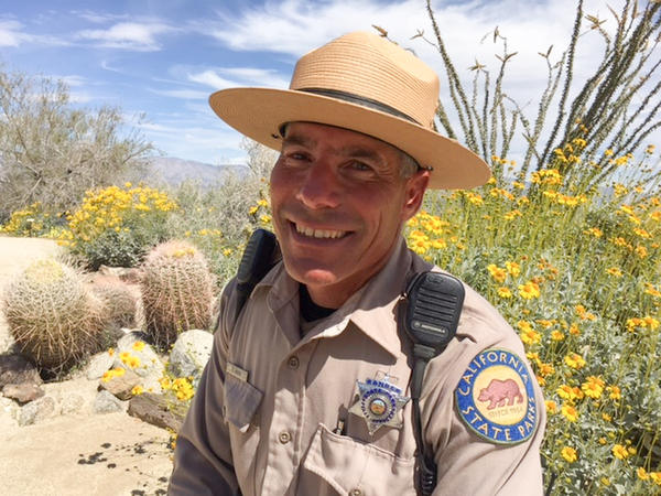 Park ranger Steve Bier says this year's conditions were perfect for such a phenomenon: long steady rain throughout the winter — a remarkable 6 inches in all here — that soaked into the ground.