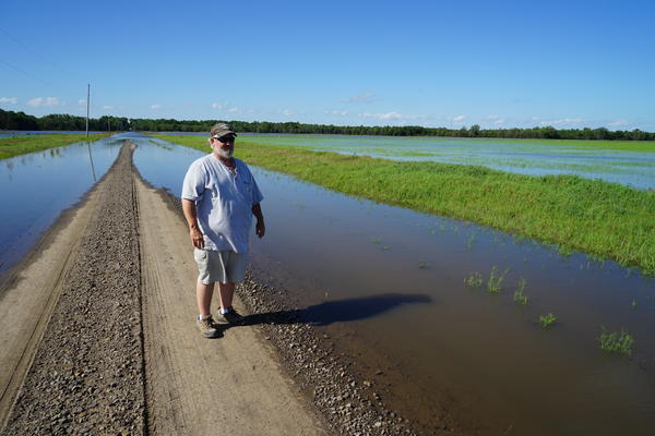Robert Stobaugh looks at a field of rice, planted a few weeks ago, that has been flooded by the nearby Arkansas River.