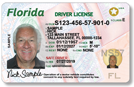 drivers license look up florida
