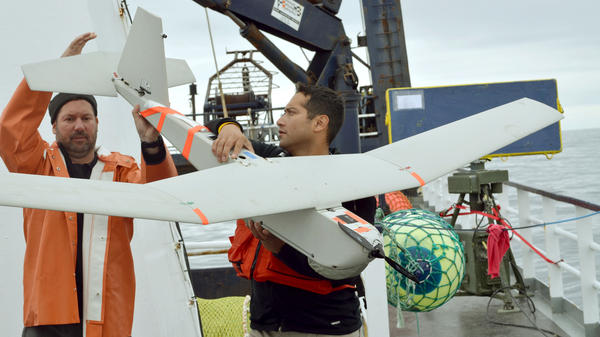 A 2011 photo shows an AeroVironment Puma drone being prepared for launch by University of Alaska researchers. The FAA says it approved BP's use of the drone to survey oil fields in Alaska.