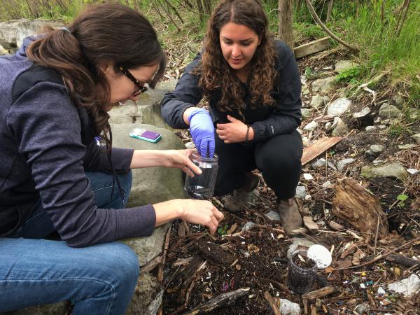 Ecologist Chelsea Rochman (left) and researcher Kennedy Bucci dig through washed-up debris along Lake Ontario. They're looking for small particles of plastic that make their way into oceans, rivers and lakes.