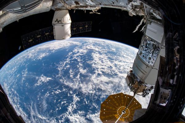 the spacex dragon cargo spacecraft that ferried musclebound mice