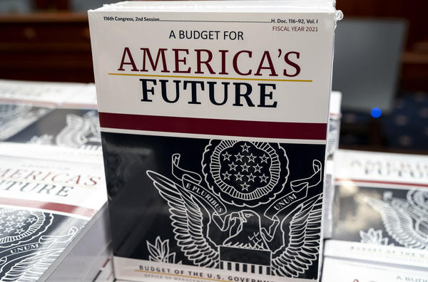 President Trump's proposed budget projects federal deficits until 2035.