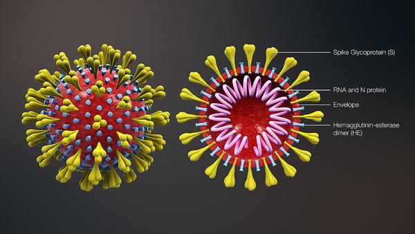 florida adds two more coronavirus cases