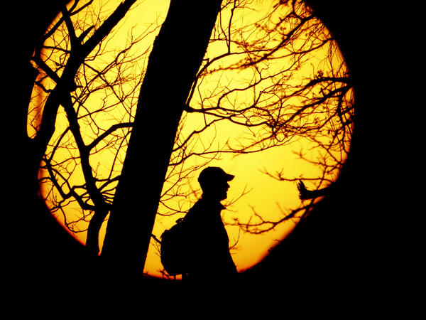 A man is silhouetted against the sun on a bluff overlooking downtown Kansas City, Mo., Wednesday.