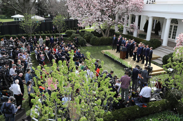 President Trump speaks during a news conference about the coronavirus pandemic in the Rose Garden of the White House on March 13.