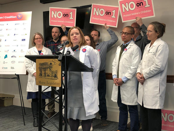 Pediatrician Laura Blaisdell, co-chair of Maine Families for Vaccines, joined supporters at the Augusta State House in February for a campaign event.