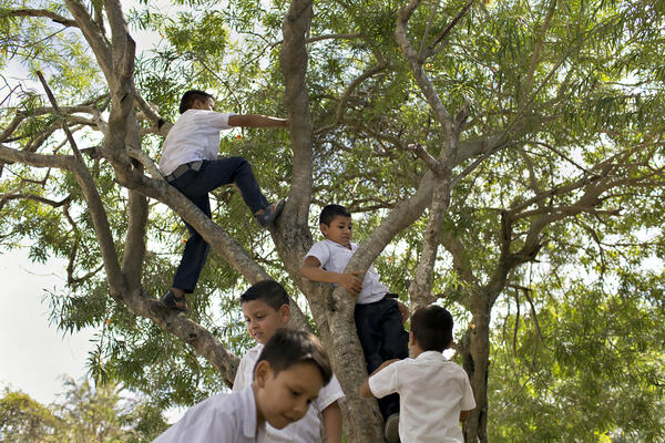 Children climb a tree on the grounds of a school in La Rivera Hernandez, a neighborhood in San Pedro Sula, Honduras, that is notorious for high levels of violence in a city that has some of the highest homicide rates in the world.