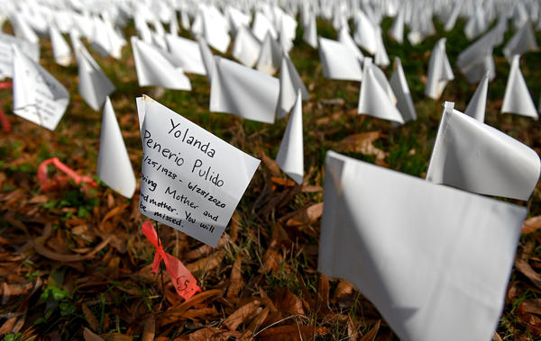 White flags planted by volunteers visualize lives lost in the U.S. to COVID-19 as part of an installation by artist Suzanne Firstenberg in Washington, D.C. The death toll has now reached 300,000.