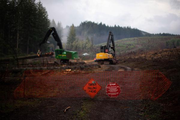 Oregon’s timber industry says it can’t afford new taxes, despite record