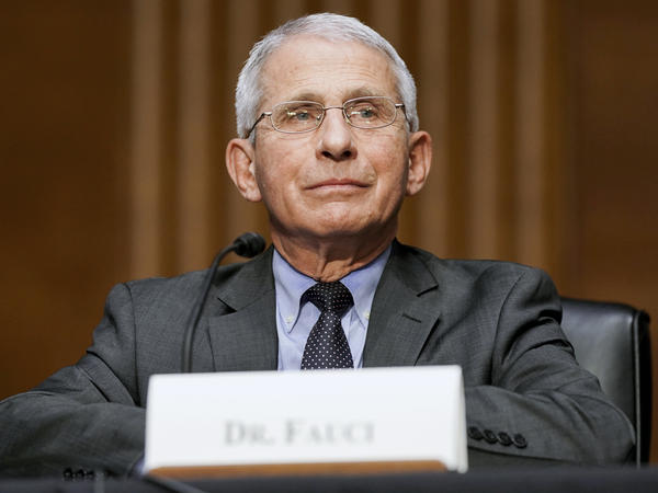 Dr. Anthony Fauci, director of the National Institute of Allergy and Infectious Diseases, testifies this month during a Senate hearing at the U.S. Capitol.