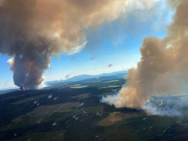 The Deadly Heat Wave Is Triggering Dozens Of Wildfires In ...