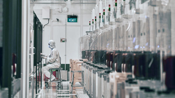 A technician works at a semiconductor fabrication facility in Singapore.