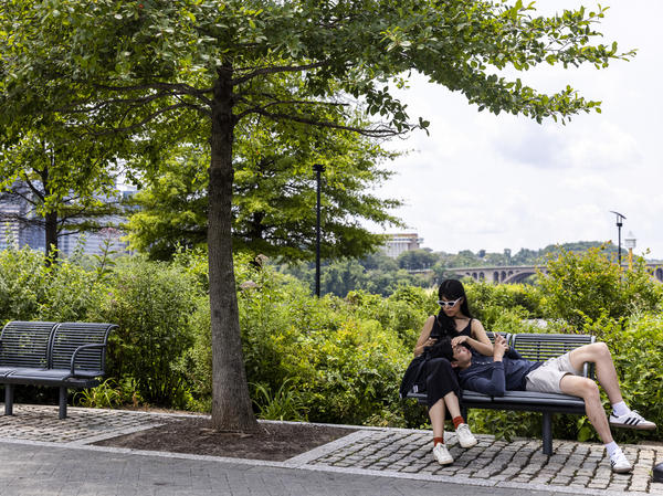 People relax at the Georgetown Waterfront Park on Monday in Washington, D.C. While pandemic restrictions have been lifted for much of the U.S., the delta variant of the coronavirus is hospitalizing thousands of people in the U.S. who have so far not gotten vaccinated.
