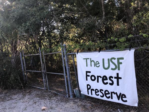 USF Student Government Joins Opposition To Forest Preserve ...