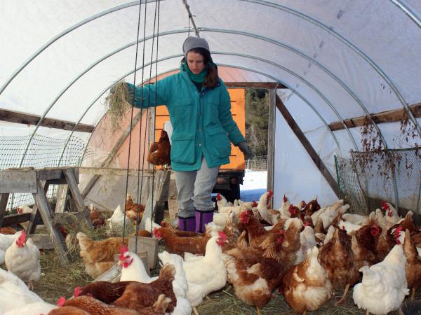 Taylor Hutchinson says having subsidized health care costs has been critical to being able to start a farm with her partner, Jake Mendell.