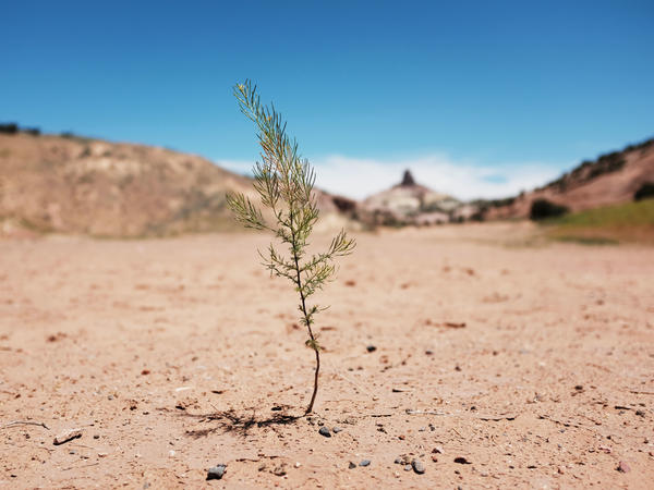 A dry landscape pictured on Navajo Nation is seen in the town of Gallup, N.M., in June 2019. New research says the near-total loss of tribal lands in the U.S. has left Indigenous people more vulnerable to climate change.