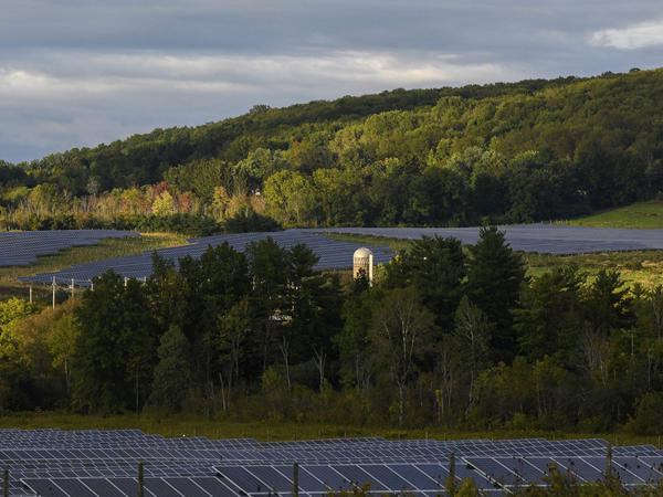 Solar farms surround trees at Cornell University in Ithaca, N.Y. The city voted Wednesday night to decarbonize the city's buildings and install more energy efficient appliances and more solar panels. The city says the move will cut 40% of their carbon emissions.