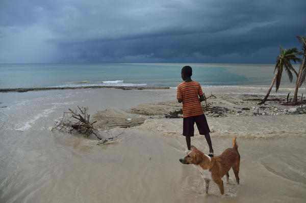 A child and a dog run along a beach in Haiti, from where health workers appear to have contracted a new coronavirus. Around the world, in Malaysia, a similar coronavirus has been found — apparently being passed to humans from dogs.