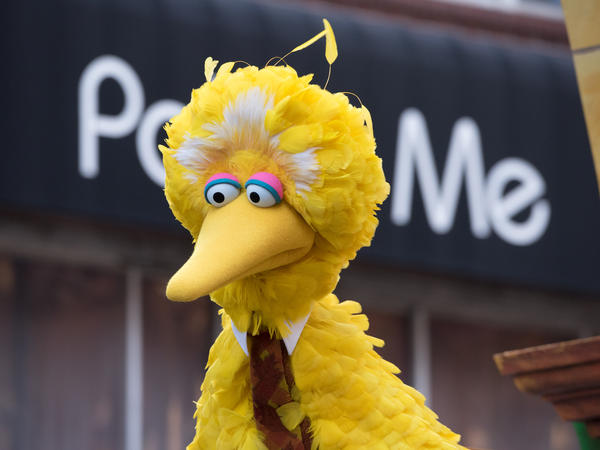 Big Bird of Sesame Street attends the 2018 Macy's Thanksgiving Day Parade in New York City. His announcement about getting the COVID-19 vaccine elicited a mixed response.