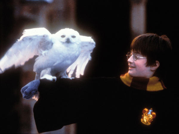 A young Daniel Radcliffe stars as Harry Potter in "Harry Potter and The Sorcerer's Stone," which premiered in 2001.