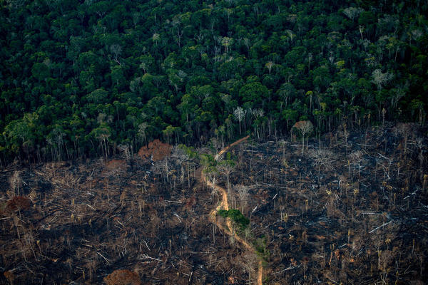 An aerial view shows a deforested area of Amazonia rainforest in Labrea, Amazonas state, Brazil, in September.