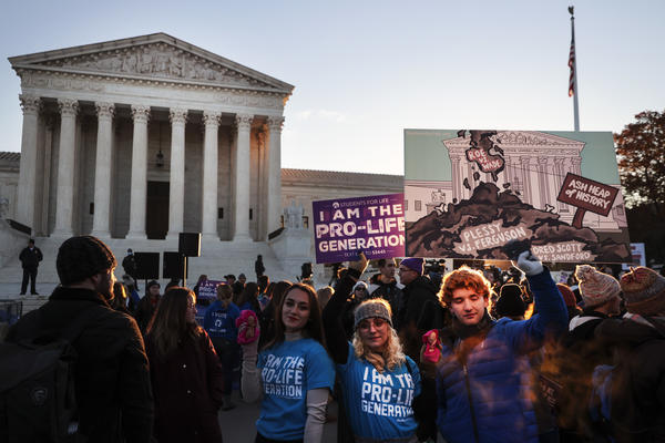 Activists and demonstrators gather in front of the U.S. Supreme Court as the justices hear arguments in <em>Dobbs v. Jackson Women's Health</em>.