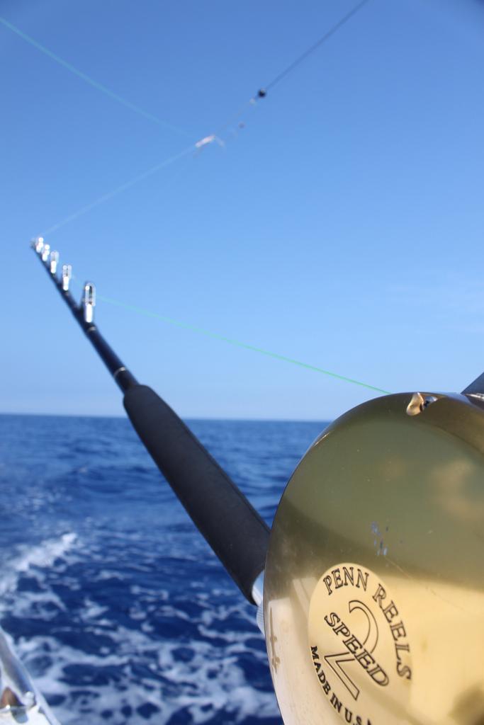 Florida's Fishing Tourism Nets 5 Billion WJCT NEWS