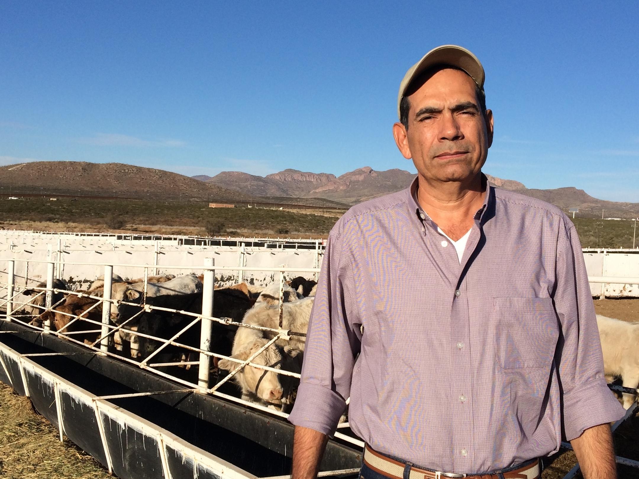 juan carlos ochoa runs an arizona-based cattle import business