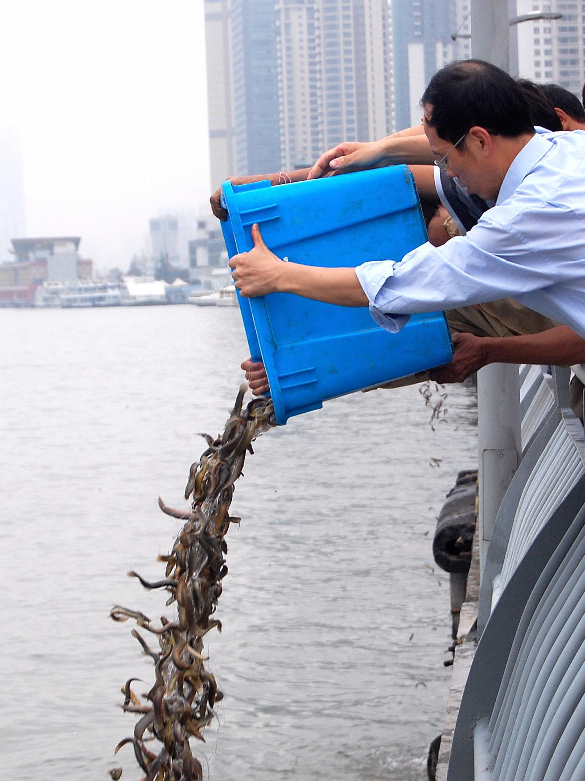 along shanghais river, buddhist tradition meets greedy
