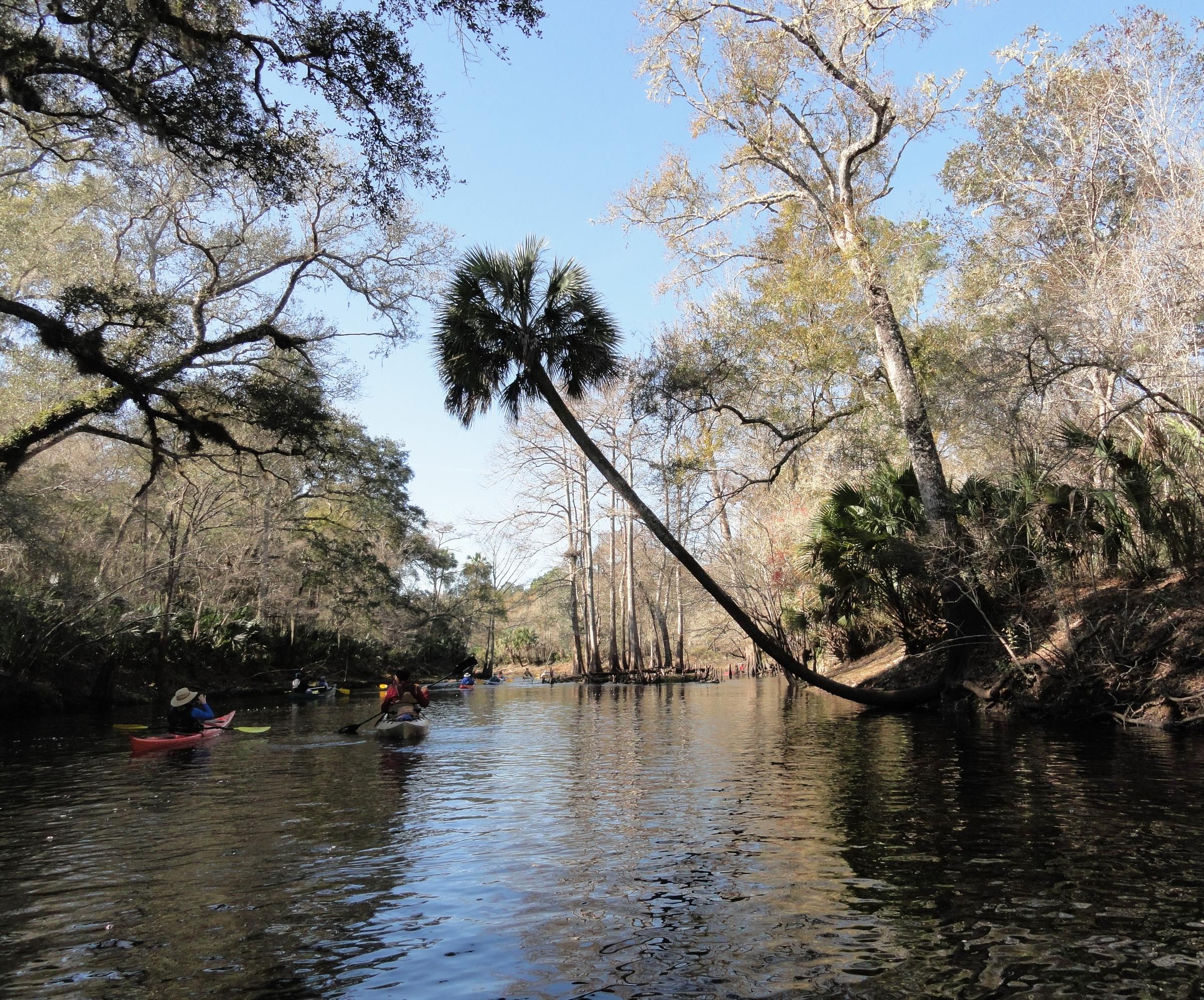 Florida Wildlife Corridor Expedition Takes Trip Back in Time to
