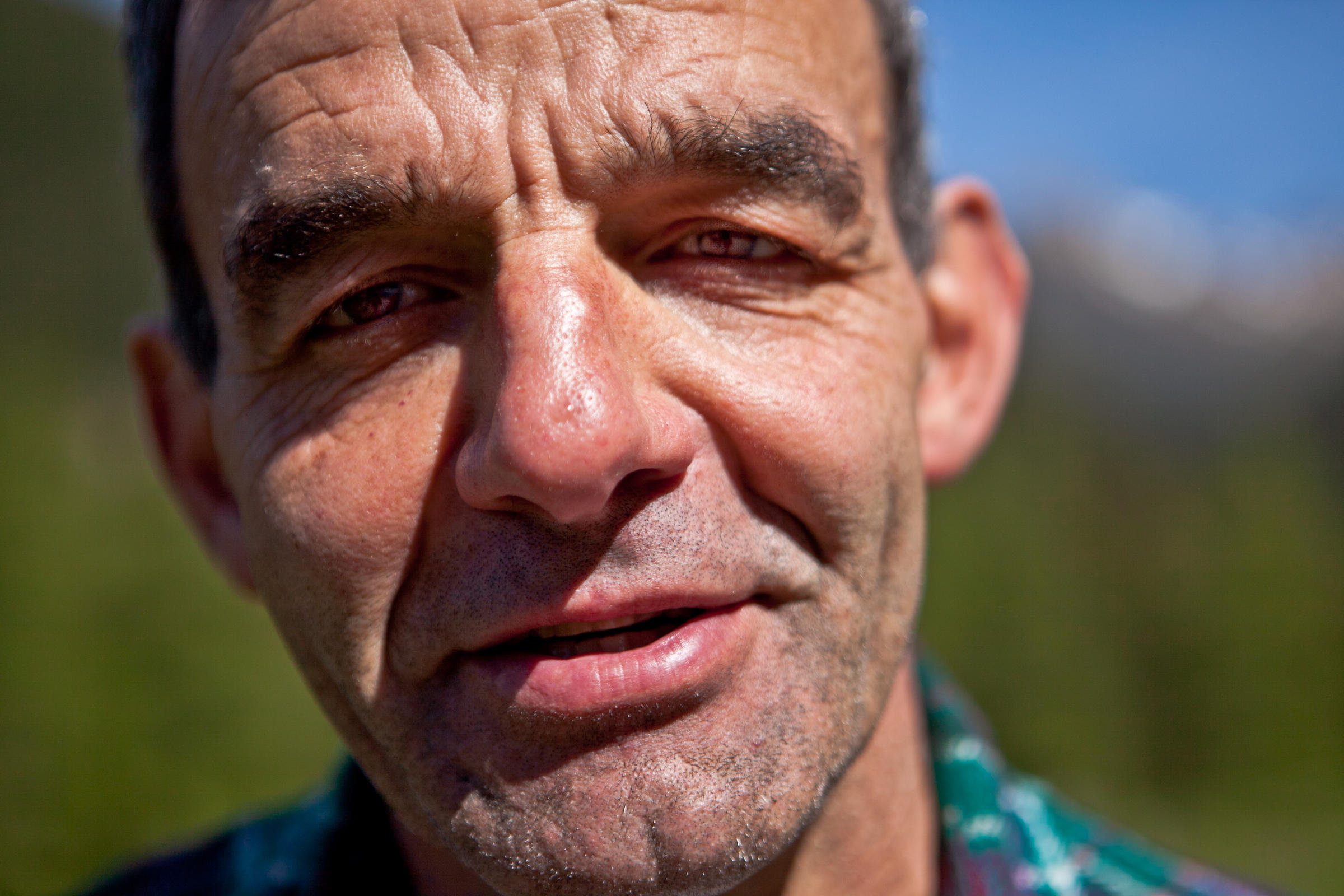 italian cheese lovers find their bovine match thro