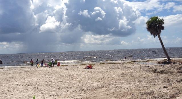 Some Florida Beaches More Prone To Bacteria Wusf News