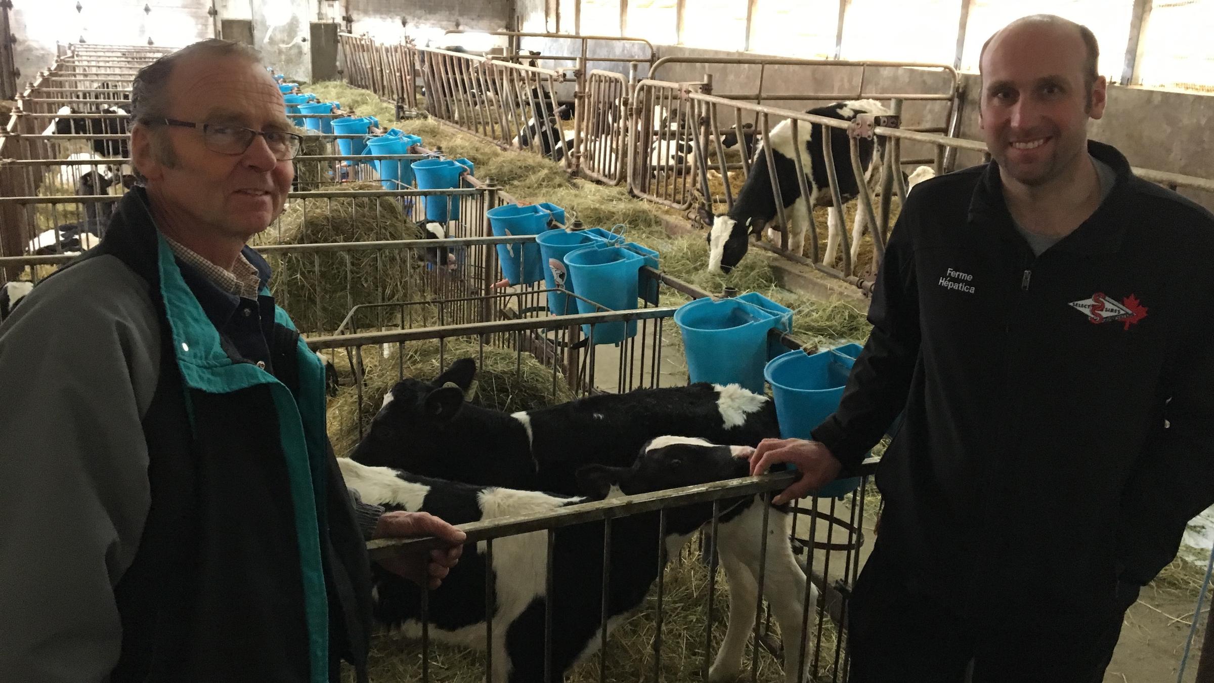 As Vermont's Milk Industry Continues To Free-Fall, Canadian Dairies Are ...