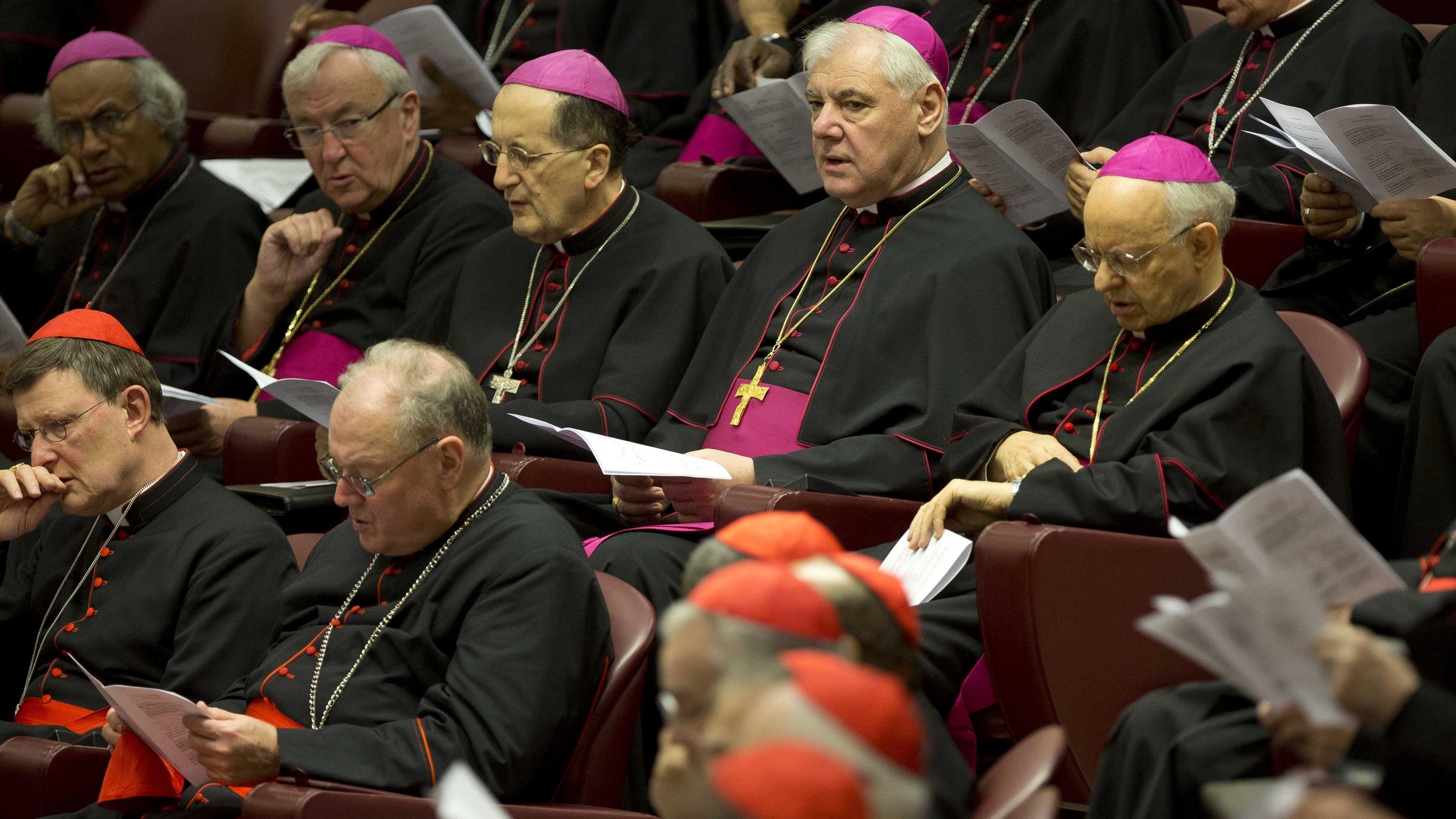 Pope New Cardinals, Many From Developing World WRKF