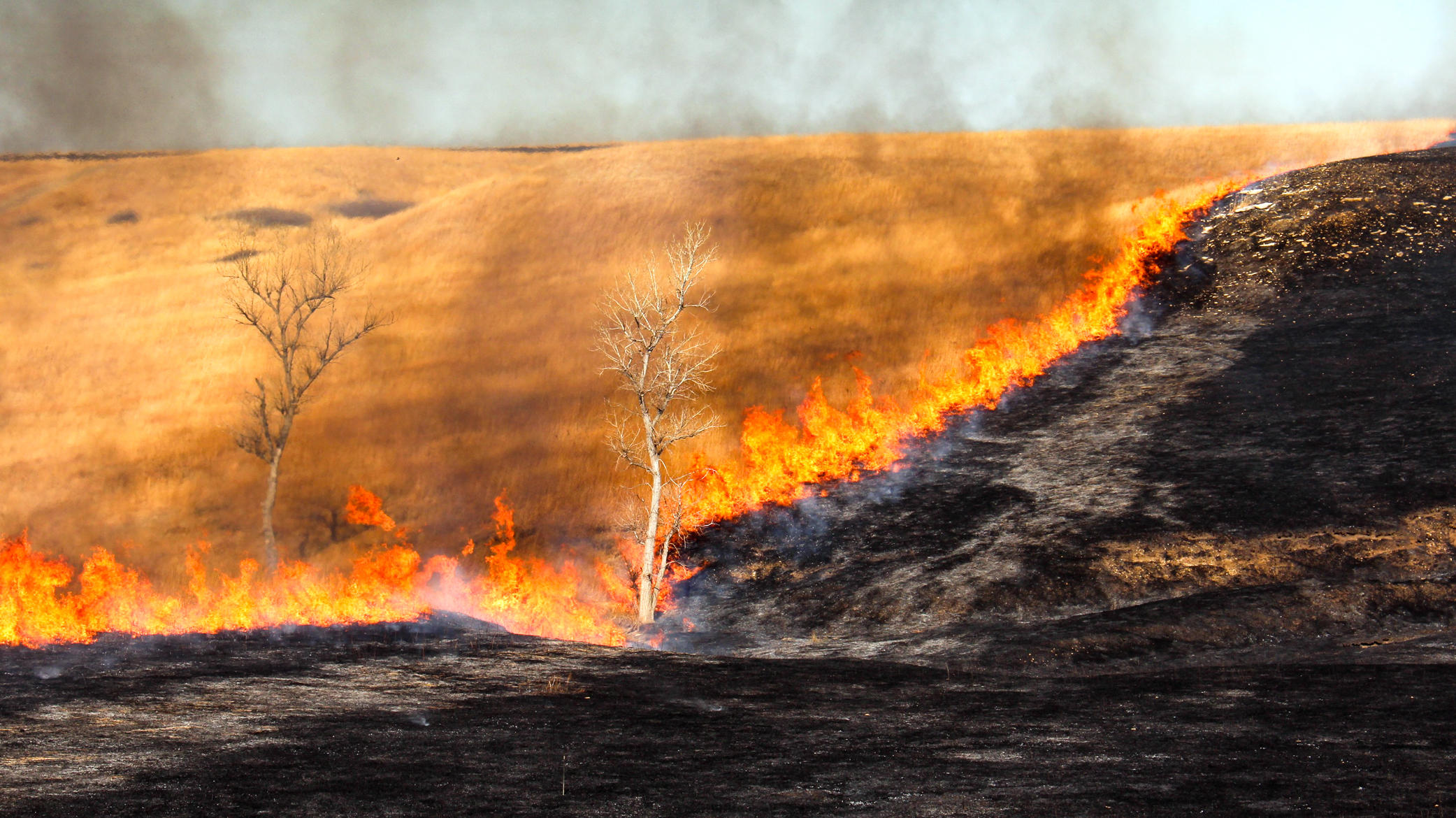 Fire Setting Ranchers Have Burning Desire To Save Tallgrass