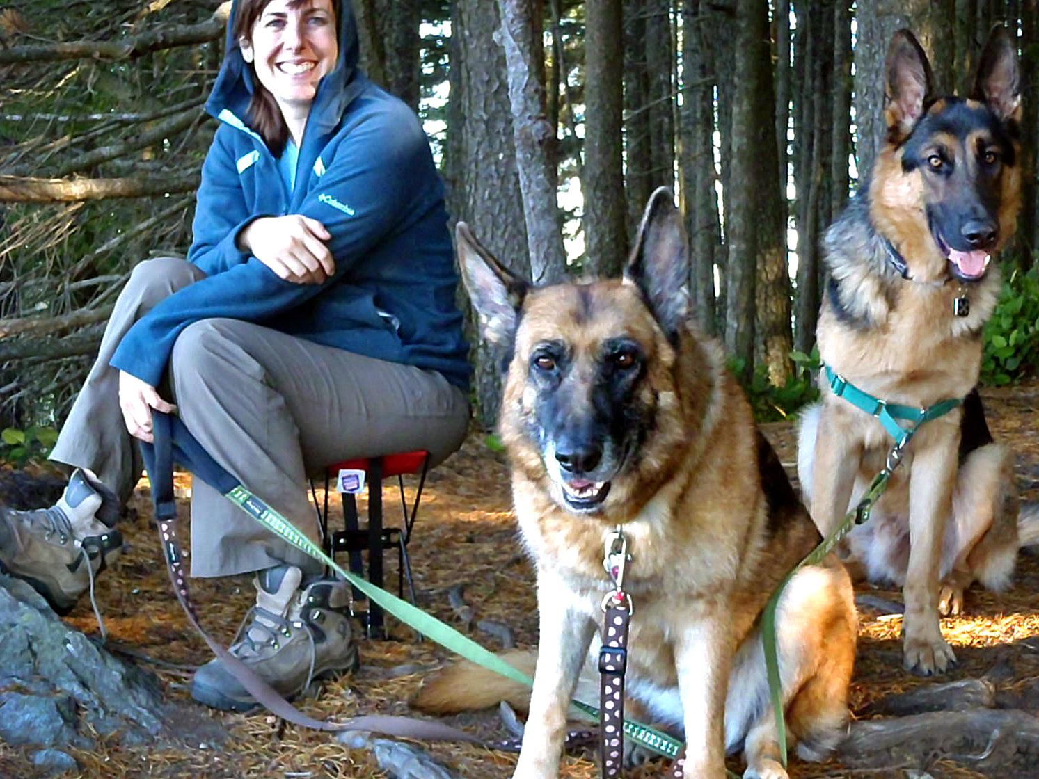 commercial raw dog food