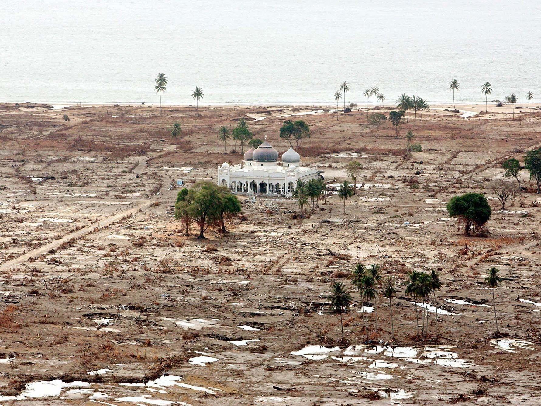 A Decade After Tsunami Asia S Shattered Coasts Are On The Mend Wuwm