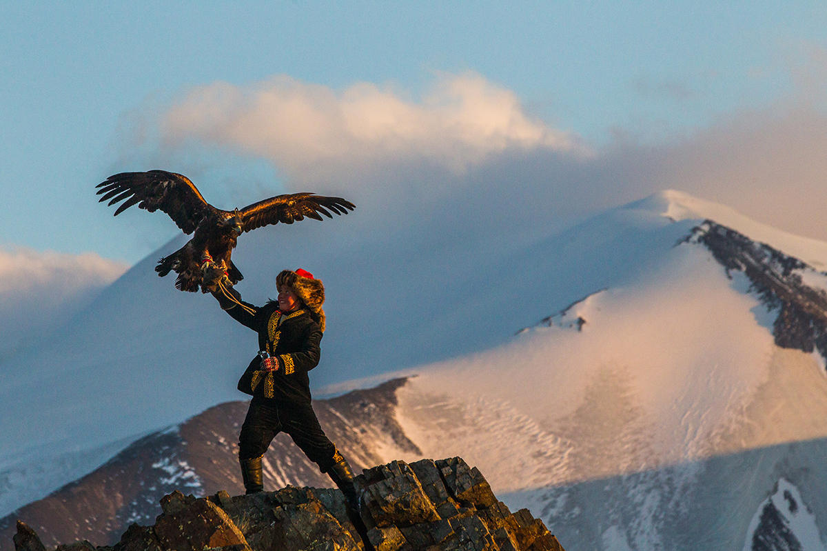 Male And Female Of Spanish Imperial Eagle Aquila Adalberti